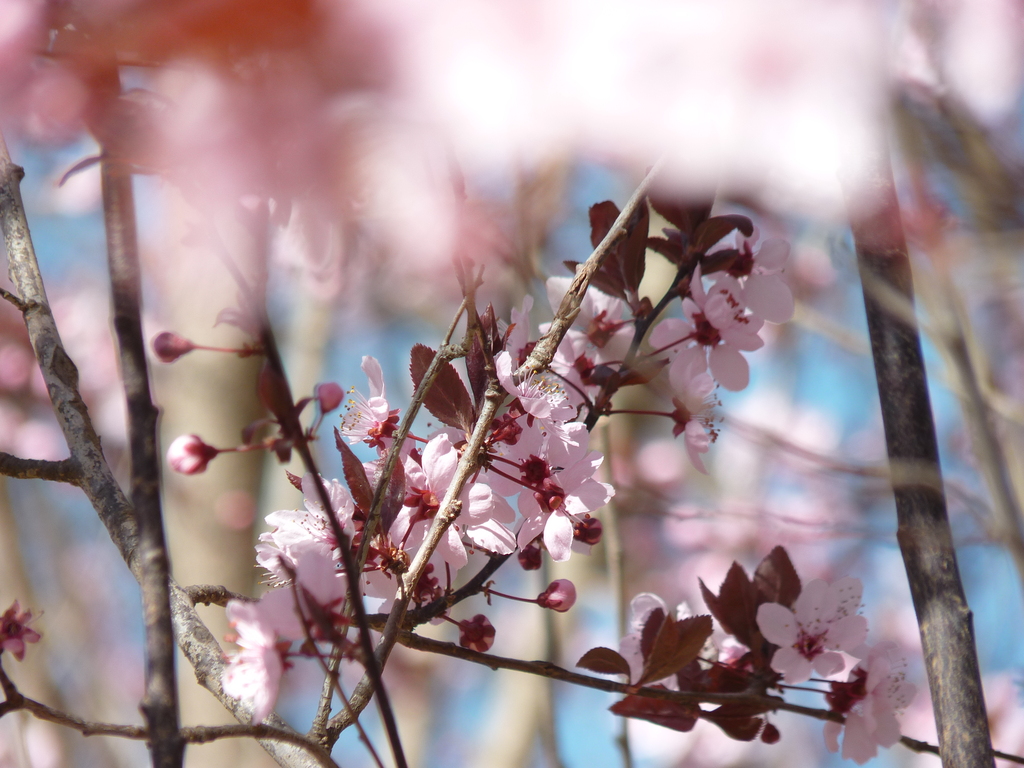 No s'ha trobat l'arxiu